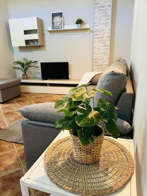 Casa El Pino B Apartment Vera de Erque Ngoại thất bức ảnh
